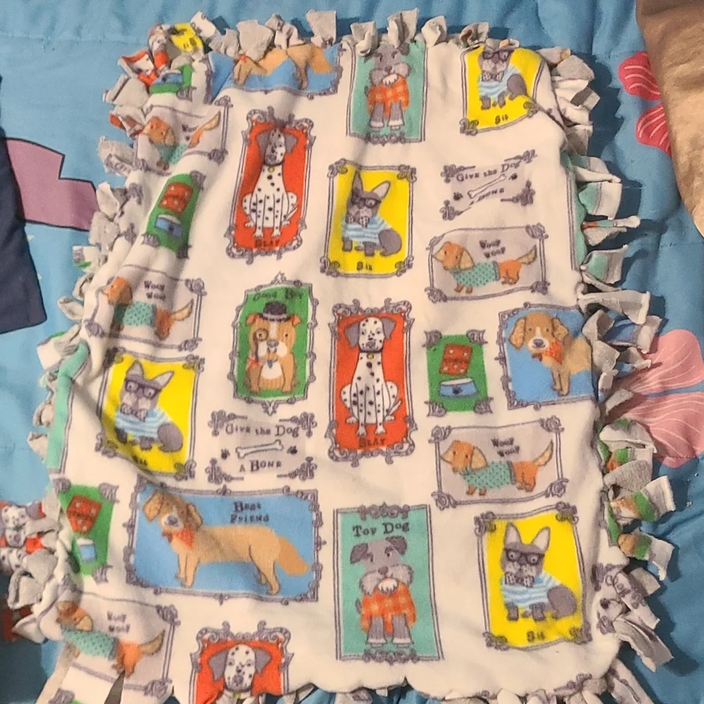 Dog Blanket other one had green on the back. Soft material.